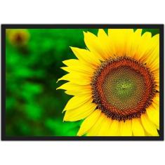 Quadro Decorativo Flores Girassóis Paisagem Natureza Decorações Com Mo