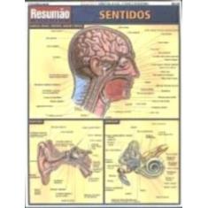 Resumão - Sentidos - Barros, Fischer E Associados