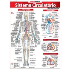 Sistema Circulatório Avançado