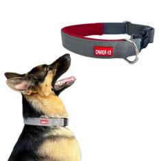 Coleira com Trava de Segurança para Cachorro - Tamanho M - Canadá K9 A