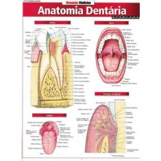Resumao - Anatomia Dentaria