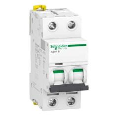 Mini Disjuntor 2 Polos 10A 230V 10kA CA/CC Schneider, Branco