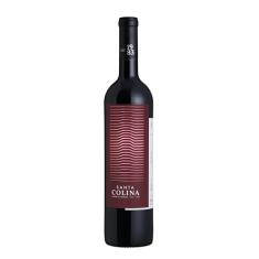 Vinho Merlot Tto Seco Santa Colina 750 Ml