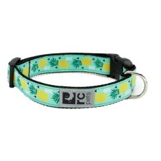Coleira ajustável para cães RC Pets de 2,5 cm, grande, desfile de abacaxi