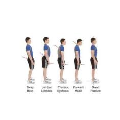 Colete Corretor Postural Magnetico Cinta Postura Unissex G