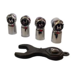 Bico De Pneu Cromado Tampa Pino Roda Válvula Antifurto Várias Montador