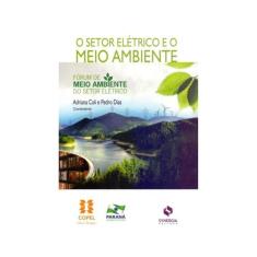 O Setor Elétrico E O Meio Ambiente