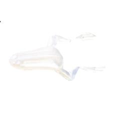 Isca Monster 3X X-Frog / 9Cm - 2Un, New shine