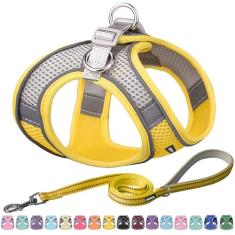 AIITLE Conjunto de coleira e coleira para cães Easy Walk – Pet Supply Sem puxar, arnês ajustável para animais de estimação com colete acolchoado para o verão, não engasga, fácil de colocar, amarelo G