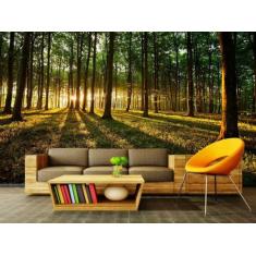 Papel de Parede Paisagens Floresta 44 - 1,00 X 1,00 - Voce Decorando