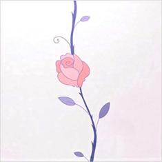 Livro - Amo Você, Mãe