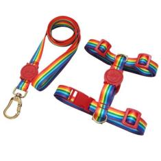 Coleira Peitoral H Anti-puxão Para Cachorro + Guia Arco Íris - Única M