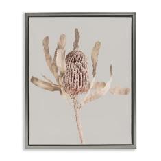 Stupell Industries Australian Banksia Botanical Gold Framed Floater Canvas Wall Art, design by Sisi and Seb, 30 x 25