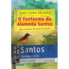Livro - O fantasma da Alameda Santos