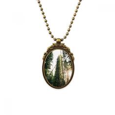 DIYthinker Colar antigo com pingente de contas vintage com cenário de natureza e ciência florestal verde