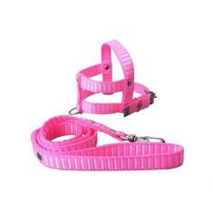 Guia E Peitoral Nylon Simples P/cães Cachorro - Nº 1 - FLOP, Rosa