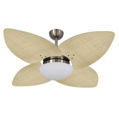 Ventilador De Teto Vd42 Dunamis Bronze Rattan Natural 110V
