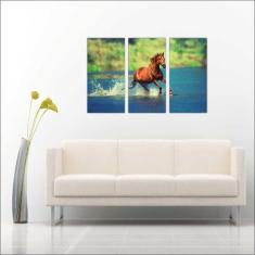 Quadro Decorativo Animais Cavalo Salas 3 peças Com Moldura - Vital Qua