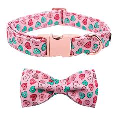 Coleira de cachorro para dia dos namorados
