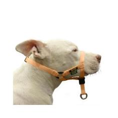 Coleira Cabresto Amorosso Halti,  XG, Bege