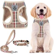 PUPTECK Conjunto de coleira e coleira ajustável para cães pequenos, filhotes e gatos ao ar livre, treinamento e corrida ao ar livre, colete refletivo acolchoado de malha macia