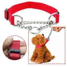 Coleira Ajustavel Cachorro Caes Corrente Regulavel Semi Enfo
