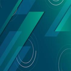 Pistao Pino/Trava Kmp Cb 600 Hornet 2008/0.25