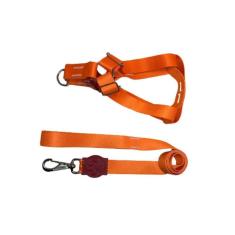 Coleira Peitoral Neon Americano 25Mm Para Cães - Laranja Nº5