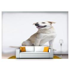 Papel De Parede Cachorro Vira Lata Sentado 3D Anm234 - Você Decora