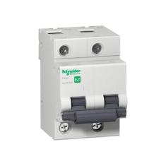Disjuntor Easy9 2p Bipolar Curva C 40a Schneider Ez9f33240