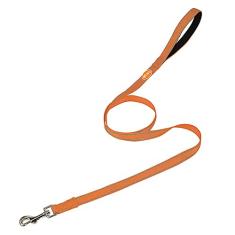 ANJISUNY Coleira refletiva de 1,2 m para cachorros, de nylon durável, com fios refletivos e acolchoada confortável para passear, guia ótima para cães pequenos e médios