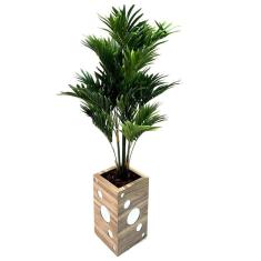 Vaso Decorativo Retangular Charlote Peg Brztes 61Cm