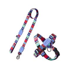 Peitoral Em X E Guia Para Cães Raios E Listras Violeta - M