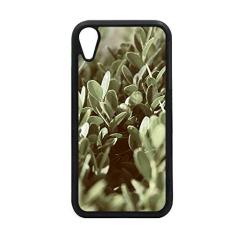Capa para iPhone XR com imagem de plantas da Sunshine Leaves para proteção de telefone Apple