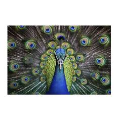 Quebra-Cabeça MDF Majestoso Pavão 300 peças