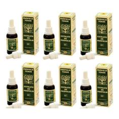 Própolis Verde Extrato De Própolis Apis Flora 30ml Kit C/ 6