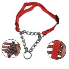 Coleira Ajustavel Guia 2.5Cm Elo Torcido Corrente Enforcador