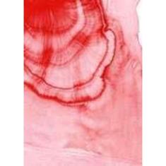 Nemer: Aquarelas Recentes