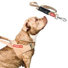 Coleira Peitoral com Guia para Cachorro  Modelo Estriado - Canadá K9 A