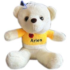 Urso Ursinho Pelucia Pequeno Marrom Roupinha Signo Aquario