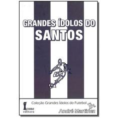 Grandes idolos do santos - ICONE