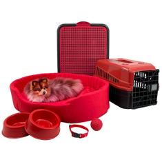 Kit Pet Pequeno Cama Europa Sanitário Transporte Acessórios - Supri Pe