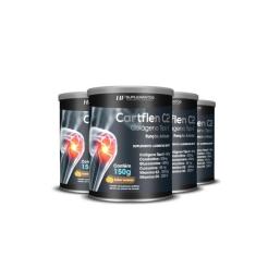 4X Cartflen C2 Colágeno Tipo Ii Laranja Hf Suplementos