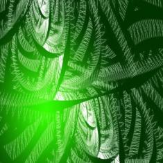 Anel P/Pistao Rik Ybr/Xtz 125 1.00