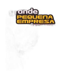 Livro Grande Pequena Empresa, A