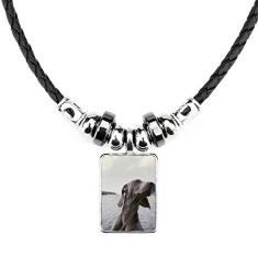 DIYthinker Colar de animais de estimação com imagem cinza joia com pingente de corda de couro