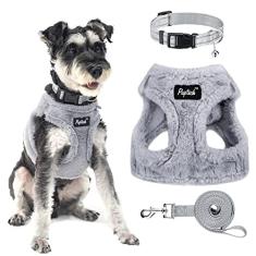 PUPTECK Conjunto de coleira e coleira ajustável para cães pequenos filhotes e gatos treinamento ao ar livre e corrida, colete refletivo acolchoado de malha macia