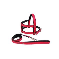 Guia E Peitoral Nylon Duplo P/cães Cachorro - Nº 5 - FLOP, Vermelho