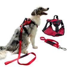 Peitoral Modelo Safari com Guia para Cachorro - Tamanho G - Canadá K9 