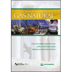 Tecnologia Da Indústria Do Gás Natural